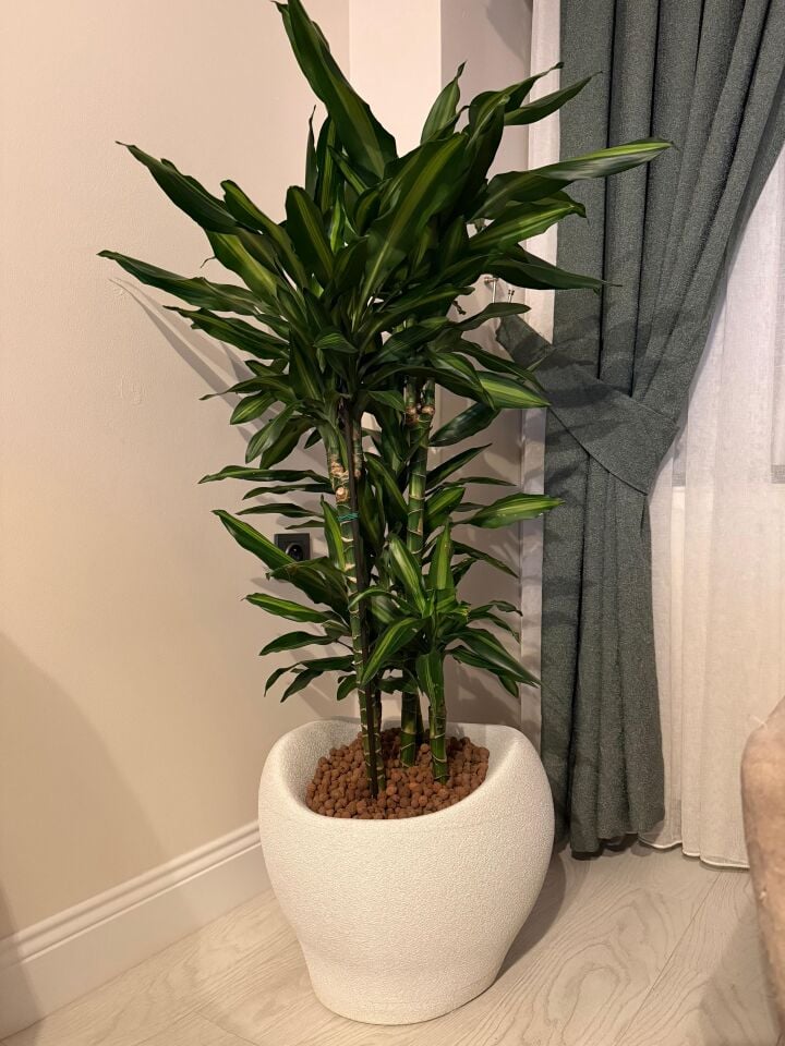 Beton Görünüm 40 cm Saksı