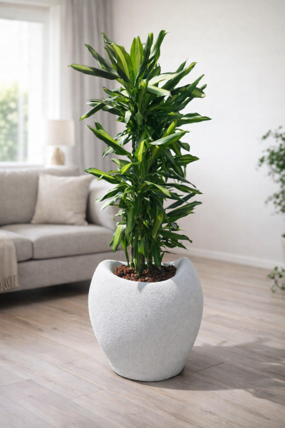 40 cm Beton Görünümlü Avize Saksı – Modern Dekoratif Saksı